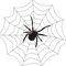 contatta