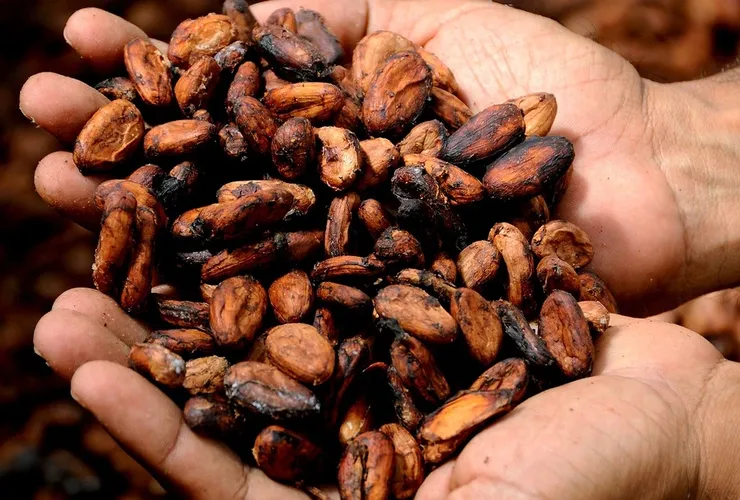 Burro cacao fai da te