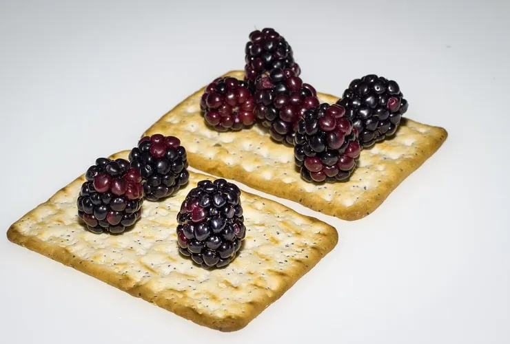 Cracker fatti in casa