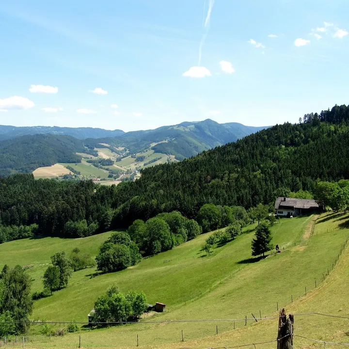 Visione della missione di Grete Merlyn (2)